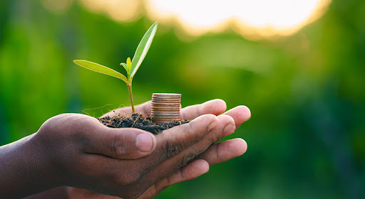 Trees are planted on coins in human hands with green natural backgrounds. Plant growth ideas and environmentally friendly investments